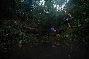 BIB: 
                            <button type="button" onclick="openModal(22483495)" class="btn btn-primary btn-sm float-right btn-popup" data-toggle="modal" data-target=".modal-high-quality">
                        <i class="fas fa-shopping-cart"></i> Add to Cart
                    </button>
                                            <button type="button" onclick="isThisMe(22483495, true)" class="btn btn-success btn-sm float-right btn-popup btn-isme hidden" data-toggle="tooltip" data-placement="bottom" title="นี่คือรูปของคุณใช่ไหม คลิกที่นี่เพื่อเอาเข้าอัลบั้ม">
                        <i class="fas fa-plus"></i> Add to album
                    </button>
                    <button type="button" onclick="isThisMe(22483495, false)" class="btn btn-warning btn-sm float-right btn-popup btn-isnotme hidden">
                        <i class="fas fa-ban"></i> Remove from album
                    </button>